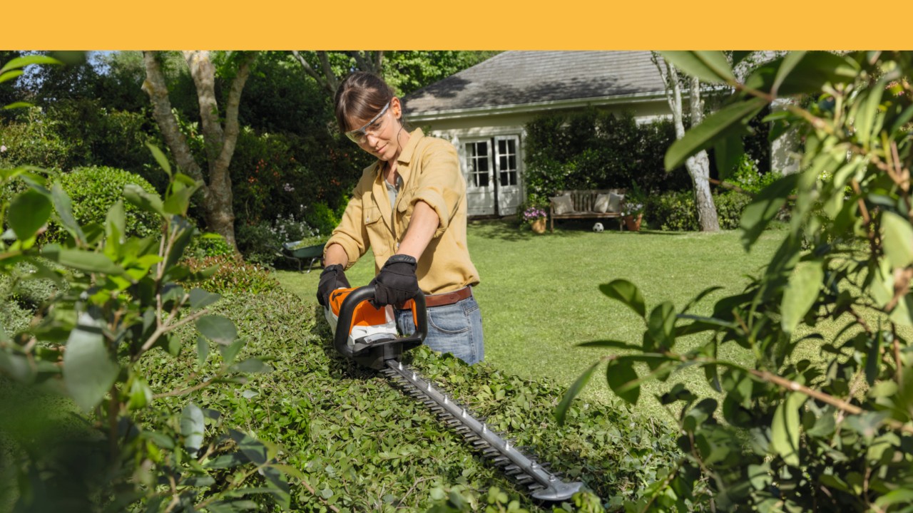 A woman pruning a hedge
